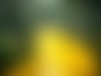 The Myth of the fixed path" - Lets see where this goes...