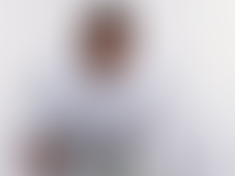 Chef Wiet Wauters - Christmas Meringue Roll