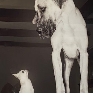 When conversation becomes a contest...