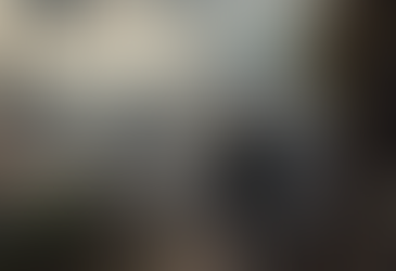 Strolling the streets - Le Flâneur