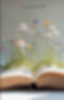 IMG_2484.jpeg