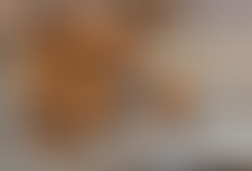 Recipes from the Platform - Tarte Aux Noix