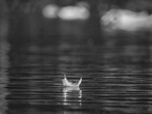 The Clarity inside the Quiet - On being still, looking and listening..