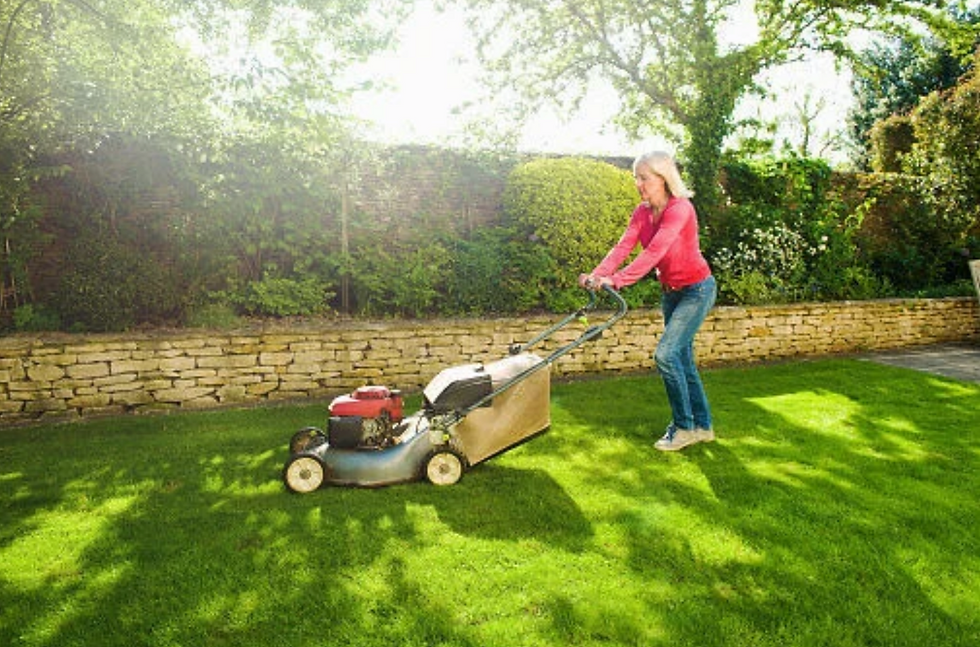 Gardens - On Lawns vs Lavender...