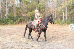 American Heritage Festival 2016 119