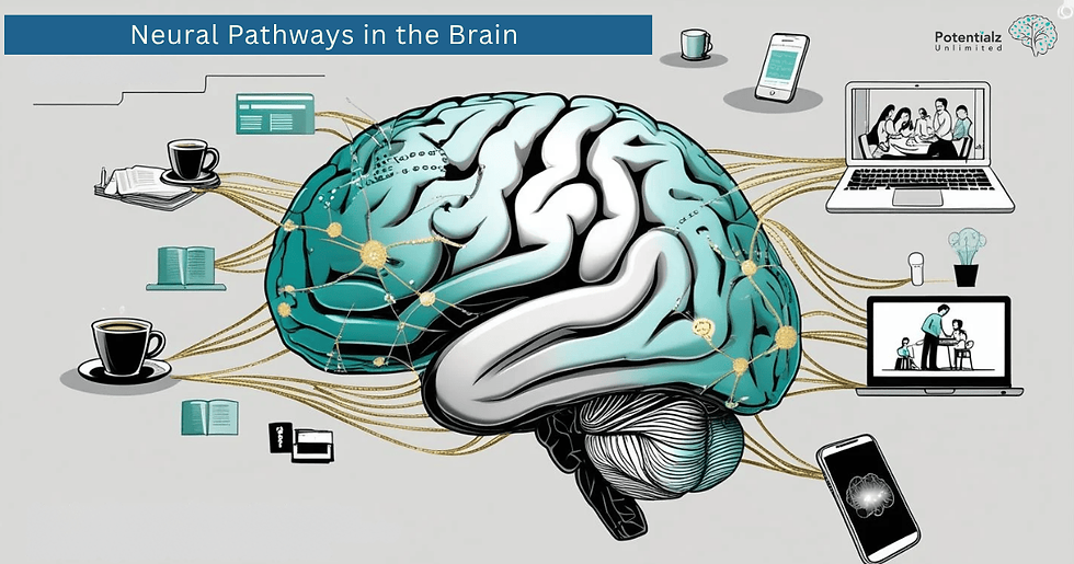 A visual representation of neural pathways in the brain, showing how repeated practice creates stronger connections