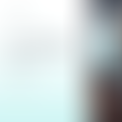 Understanding the EMDR Phobia Protocol - Slide 0