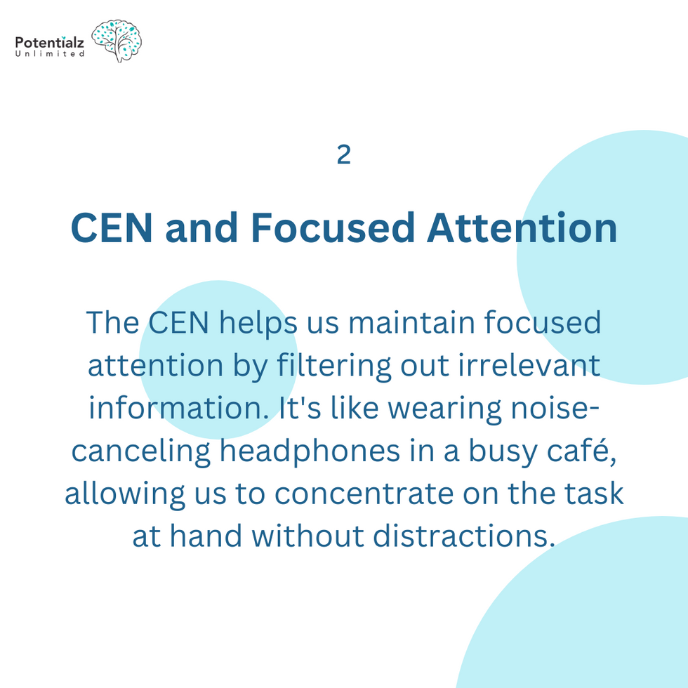 Central Executive Network: Page 2