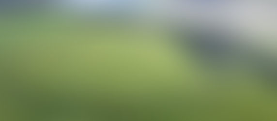 Denmark’s viking past