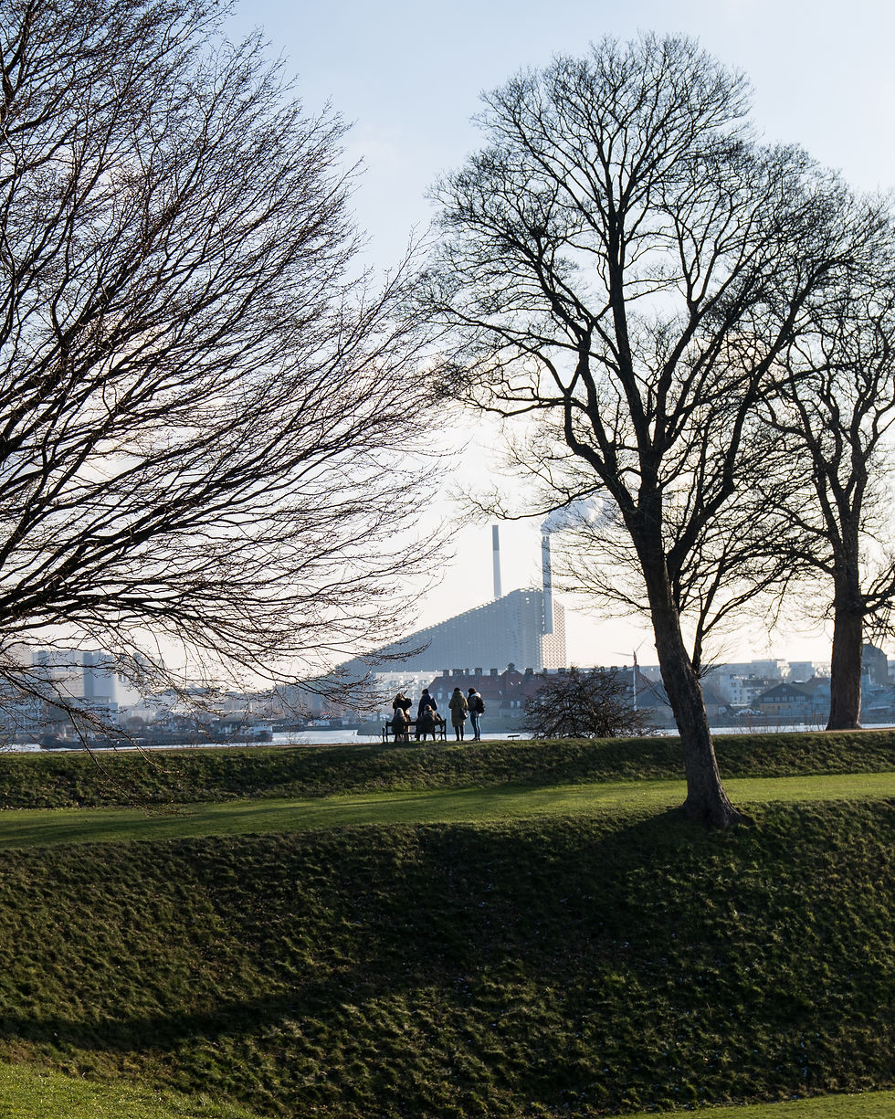 Credit: Mellanie Gandø