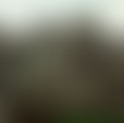 The making of Christian Denmark