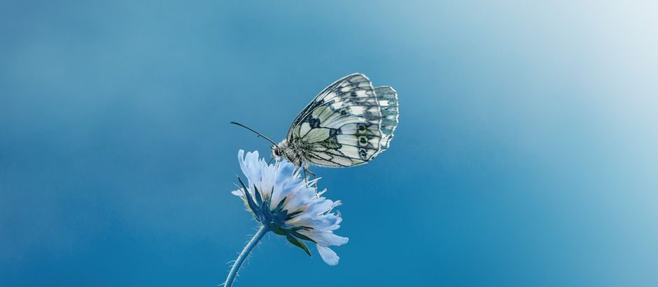 Facing the hard questions: Continue, pause, or pivot?