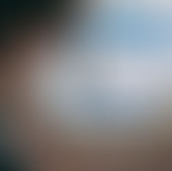 A leaky Danish labour market