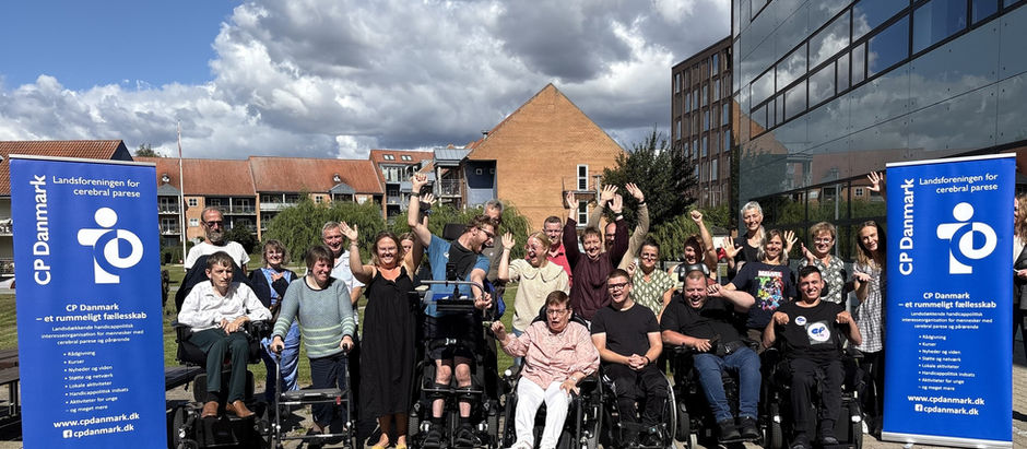 Living with cerebral palsy in Denmark: stories of strength, struggles, and solidarity