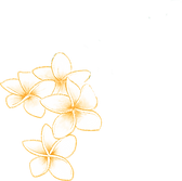 Plumeria Flower_edited_edited_edited.png