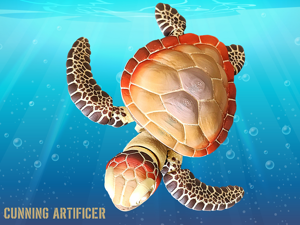 Thumbnail: Atticus the Turtle