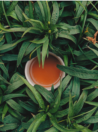 thé glacé bio