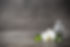 AdobeStock_90479495.jpeg