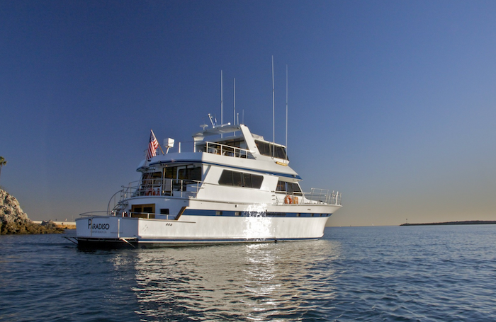 Paradiso-CharterCruise.png