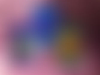 今日のあなたへ 2020.12.30 KIN16