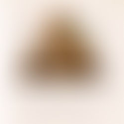 The Food Pyramid Had a Glow-Up: But the real change wasn’t the shape, it was the mindset.