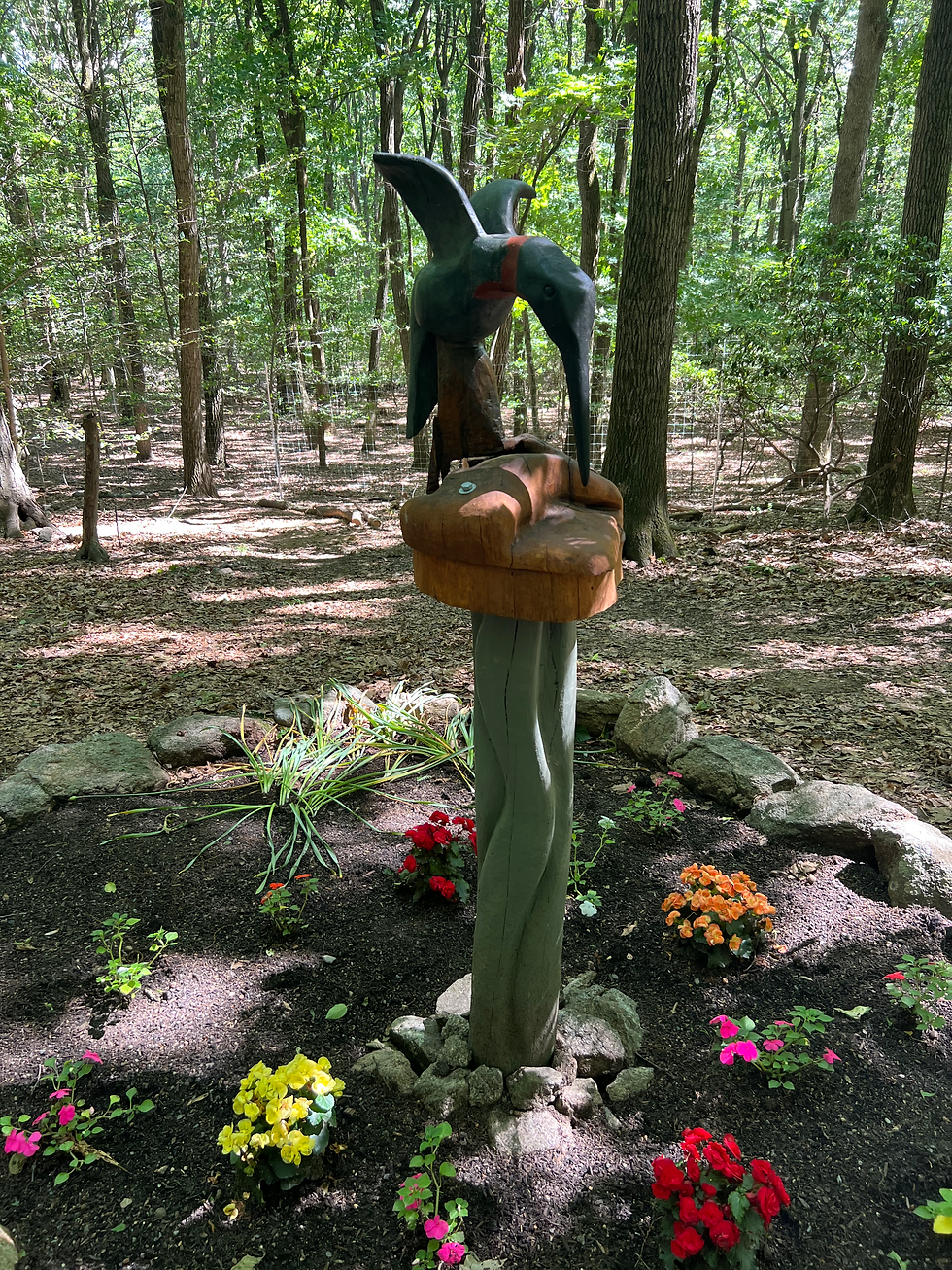 Sculpture Hike