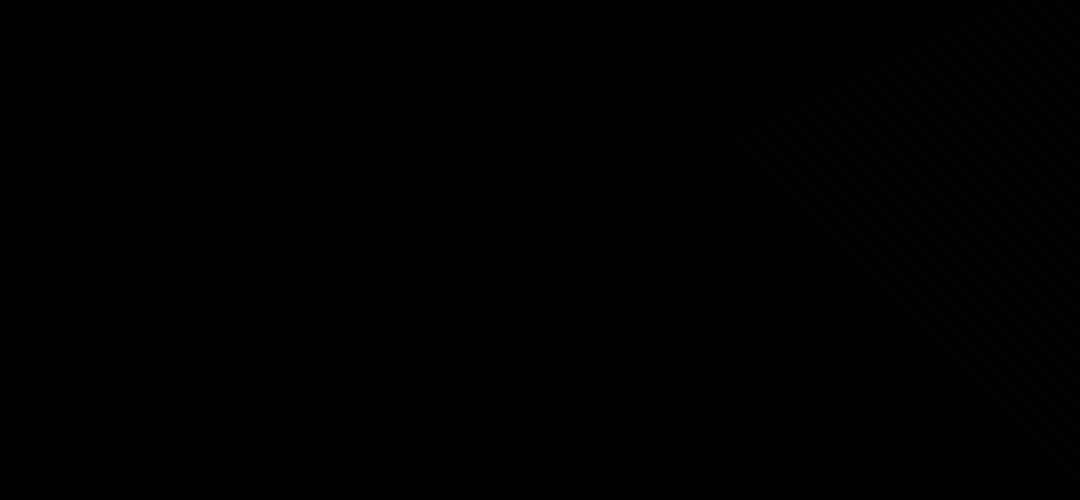 logo_bnw