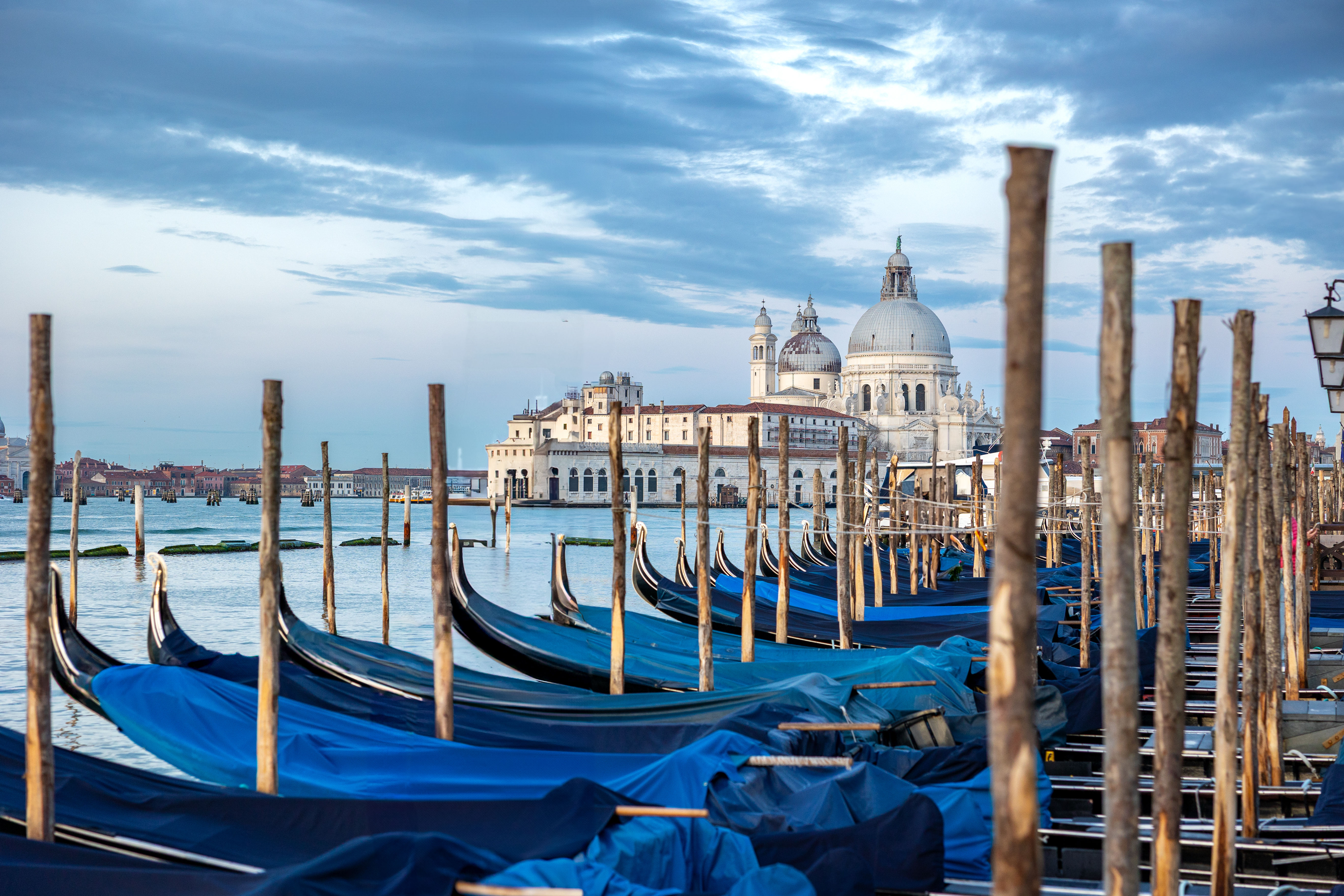 Rows of blue-covered gondolas docked along the Grand Canal in Venice, Italy with the Basilica di Santa Maria della Salute in
