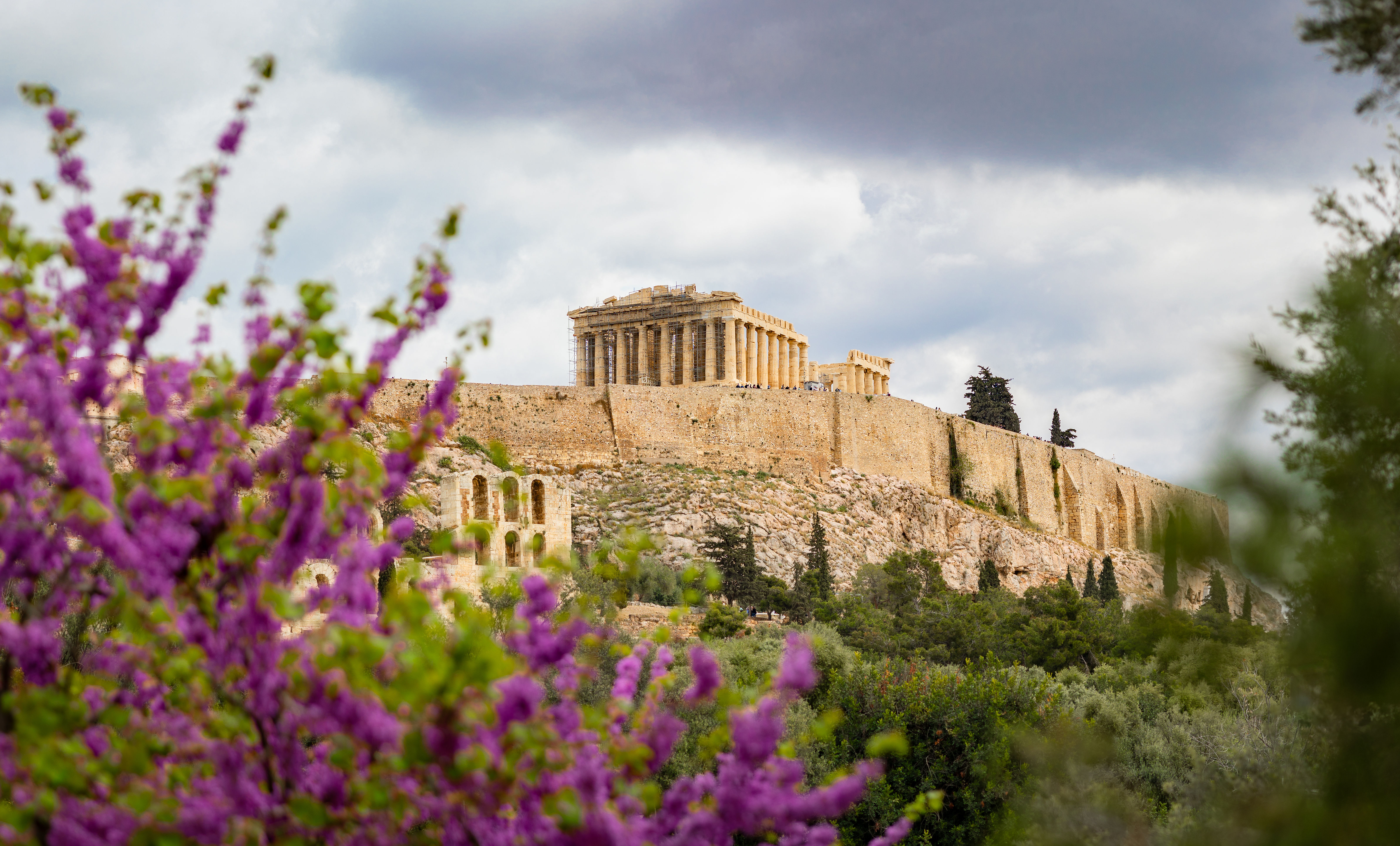 The Parthenon atop the Acropolis in Athens, Greece, framed by blooming purple flowers and lush greenery under a cloudy sky.