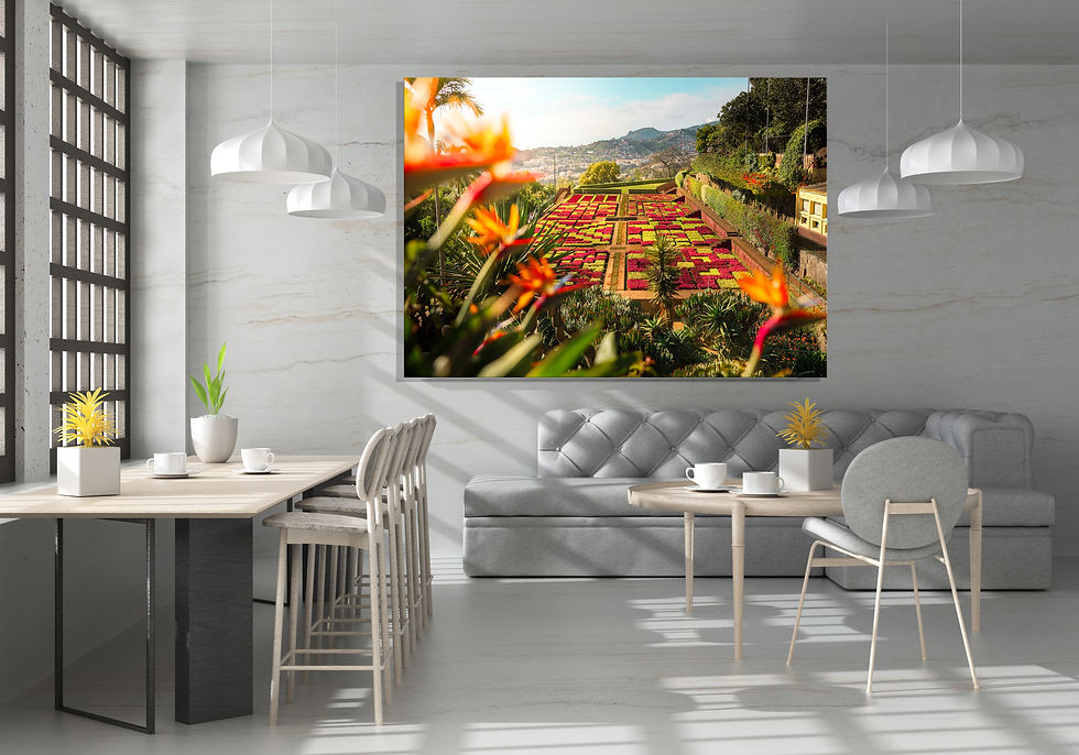 Formal terraced garden in Madeira, Portugal, overlooking the city and surrounding hills, photographed in warm natural sunligh
