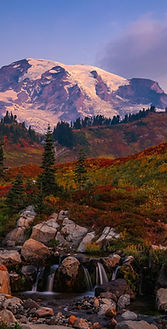 Rainier pretty_edited_edited.jpg