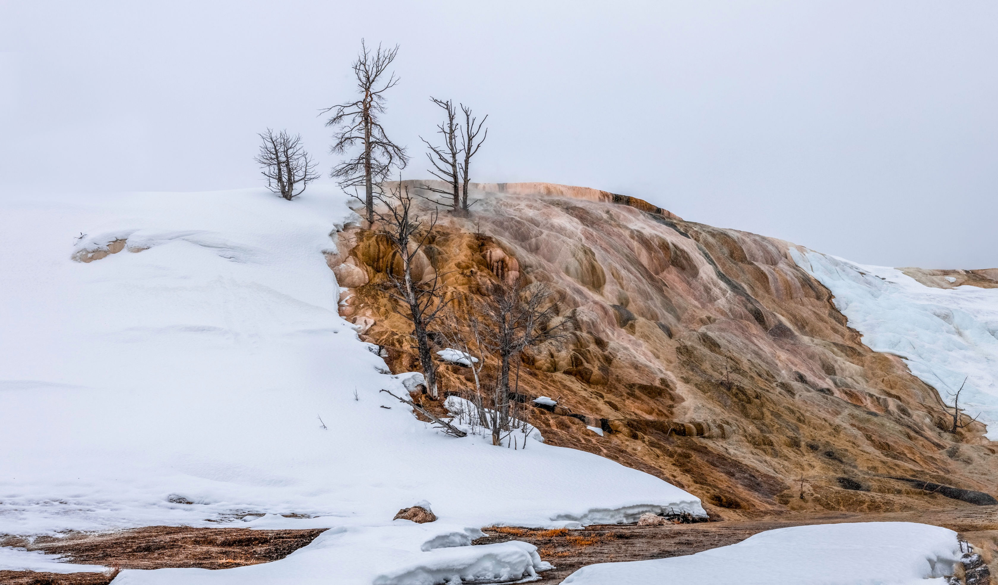 Snow-covered landscape at Yellowstone National Park featuring a striking geothermal formation with steaming, terraced rock fo