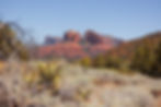 Cathedral Rock in Sedona, Arizona, viewed from a desert trail with red rock formations, desert brush, and clear blue skies.