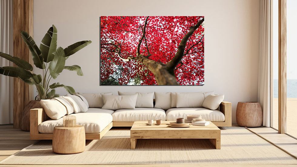 A close-up view looking upward through the twisting branches of a tree with vibrant red autumn leaves, symbolizing growth, tr