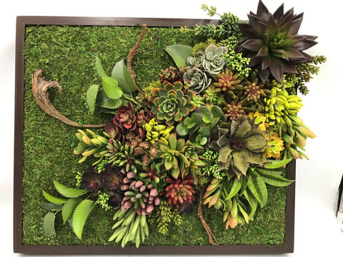 Succulents arrangement designed by Rock City Gardens