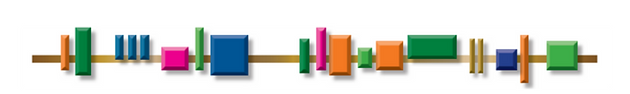 Untitled design (6).png