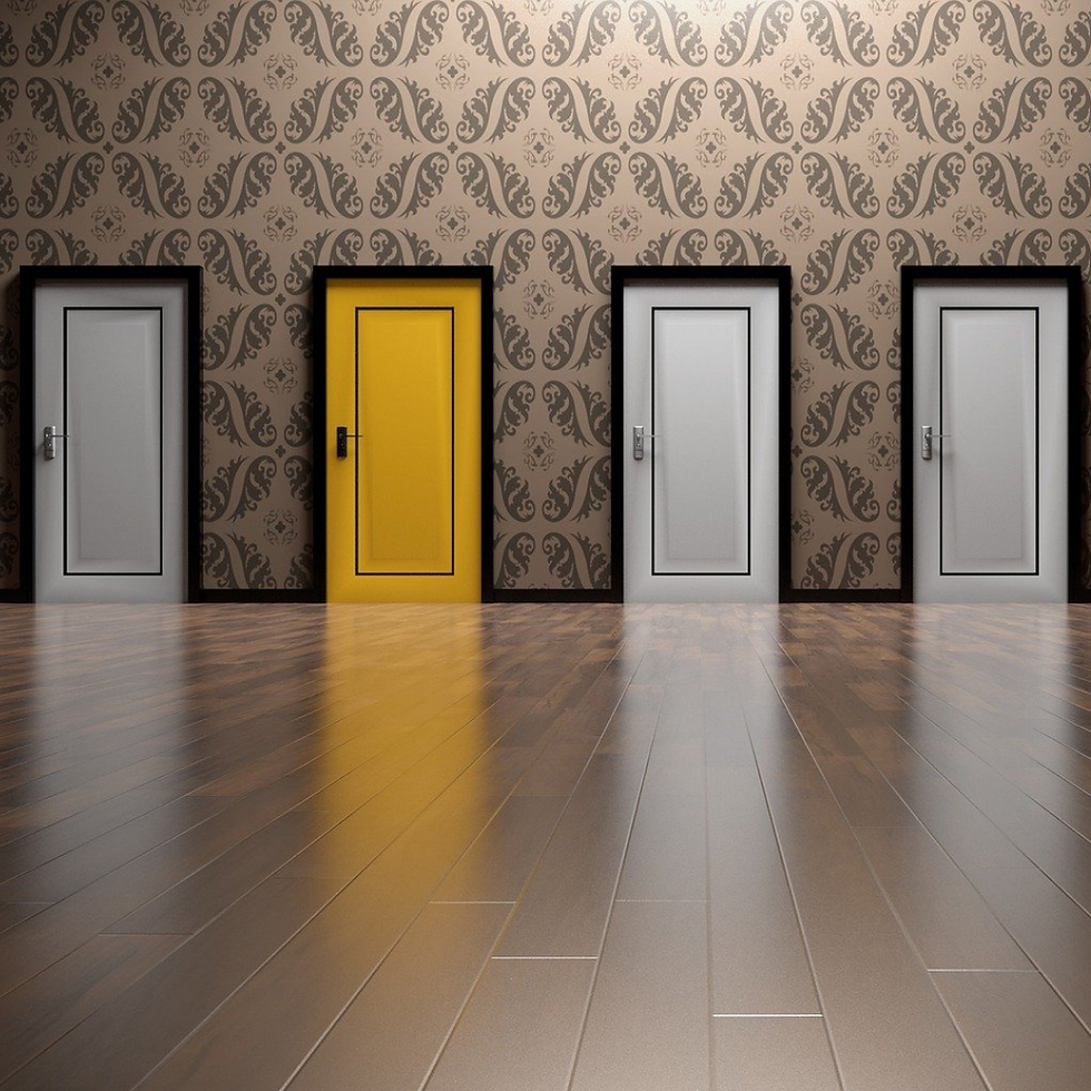 Qual carreira profissional seguir?