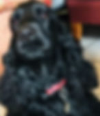 Lola