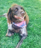 Waylon