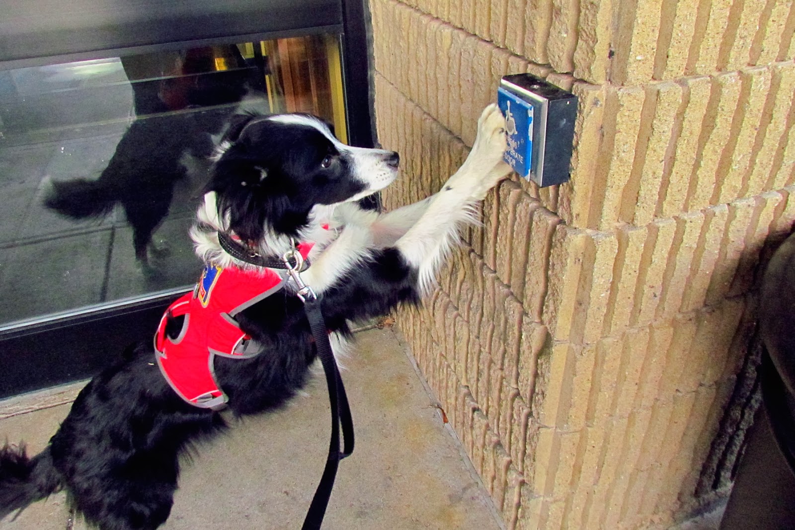 purina natural instincts