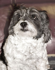 Sir Duncan