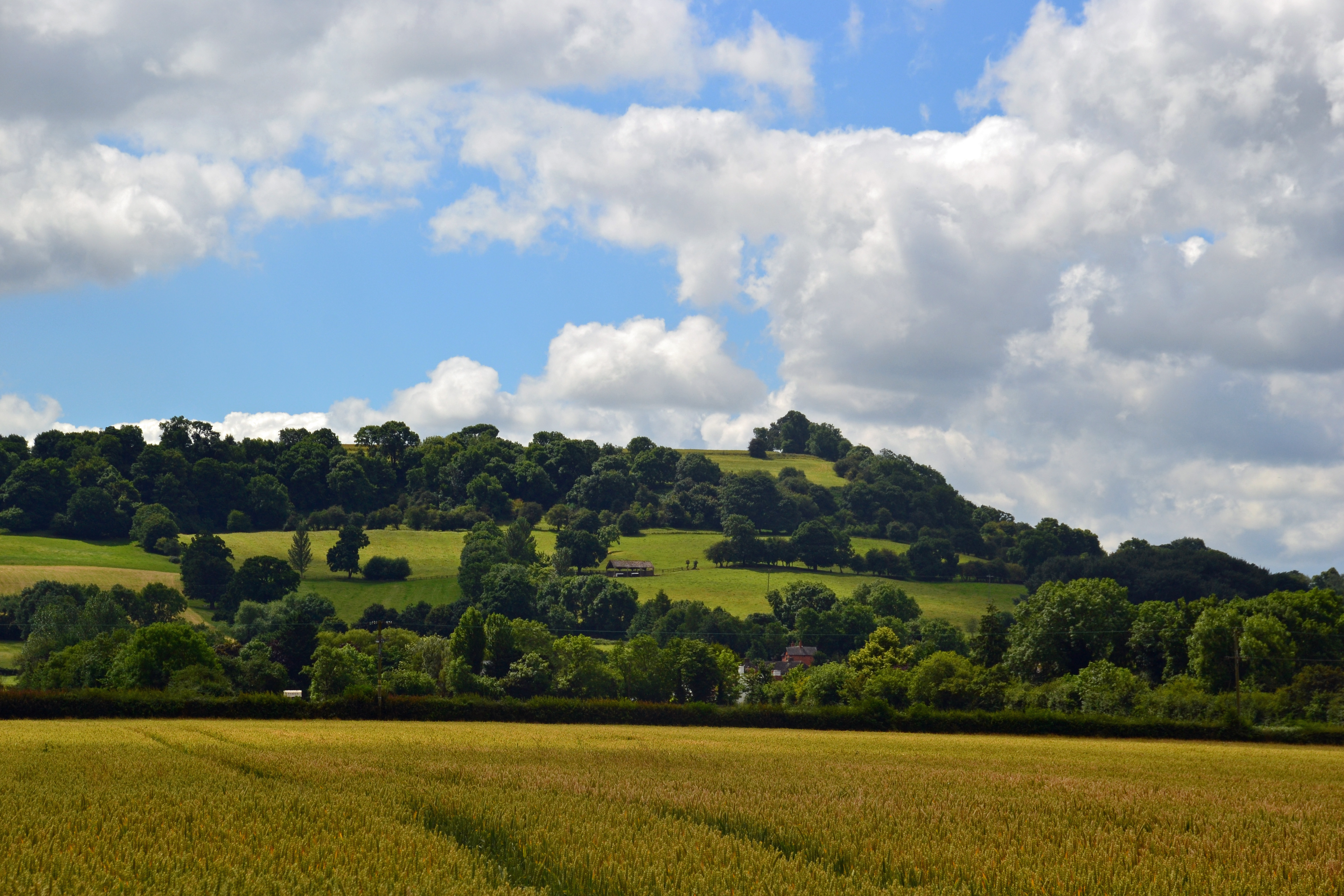 Meon Hill