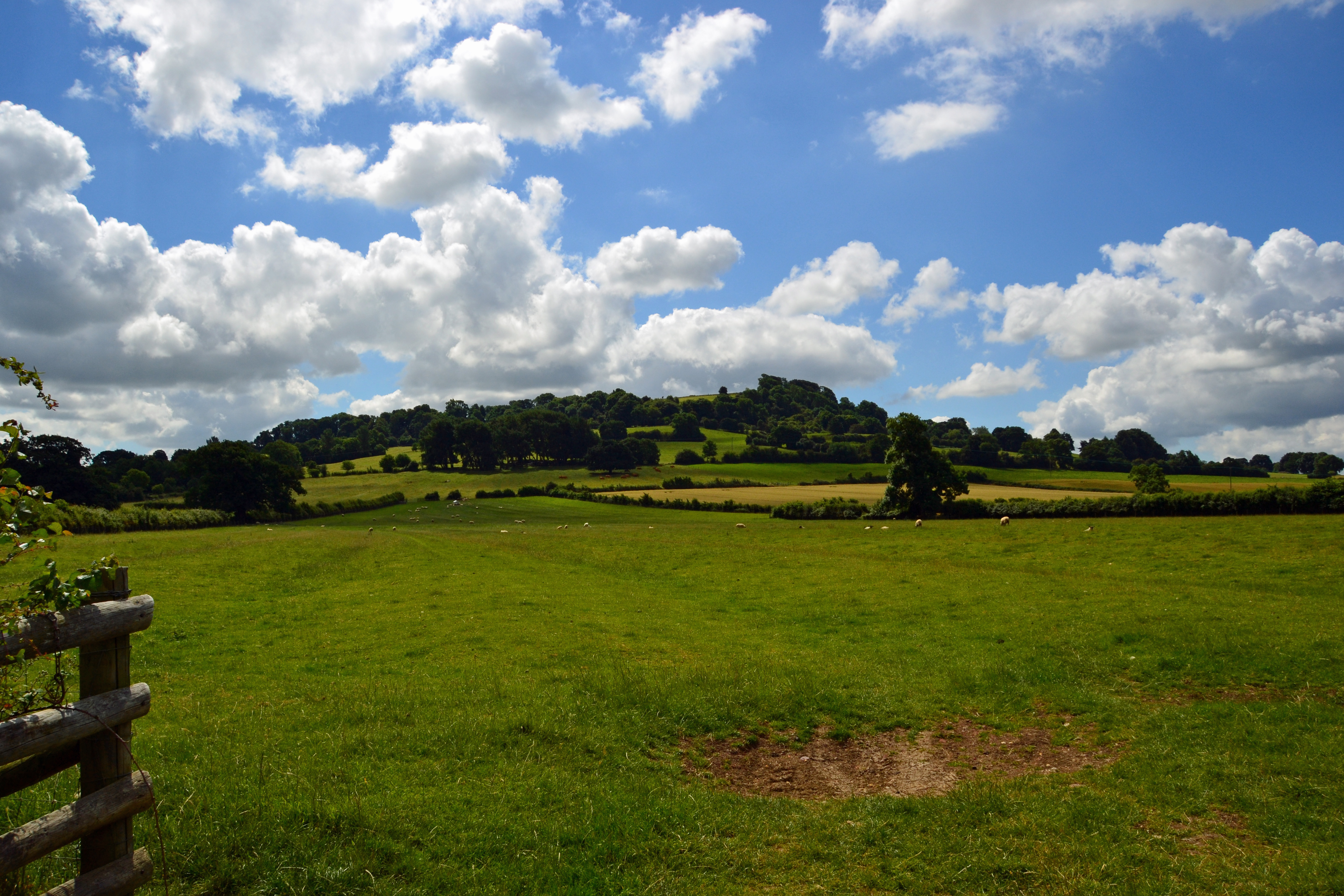 Meon Hill