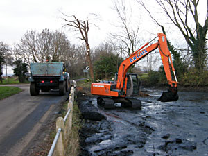 Village pond clearing