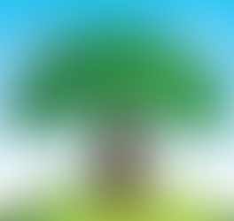 ‹ネゲブの流れ>-886-2026/1/1