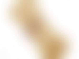 <ネゲブの流れ>-882-2025/12/7