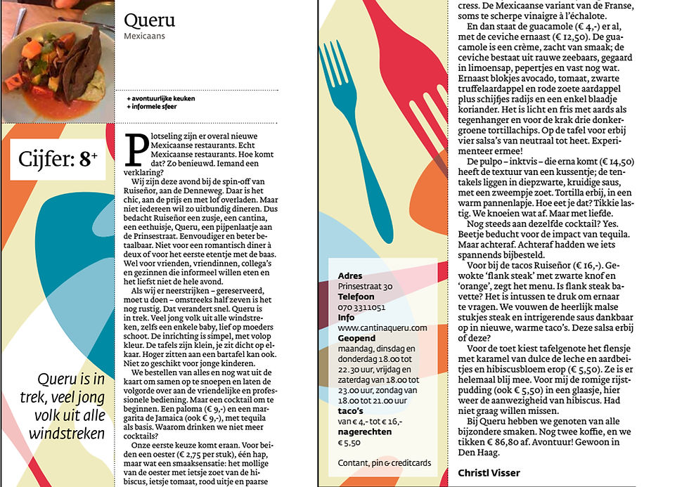 queru pdf recensie