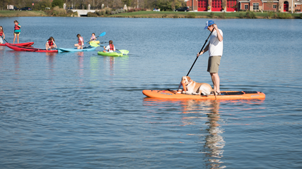 Top 5 Fun Ideas For Team Building