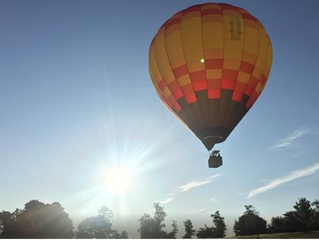 Top 5 Unique Things To Do in Franklin, TN