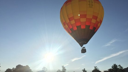 Top 5 Unique Things To Do in Franklin, TN